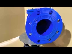 Valva de verificação de ferro fundido para assento de borracha OEM com resistência à corrosão contrapeso