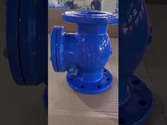 Valva de verificação de balanço de água cara a cara DIN3202-F6