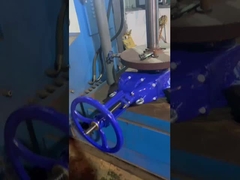 DIN3352-F4 Válvulas de porta de cadeira flexível resistentes