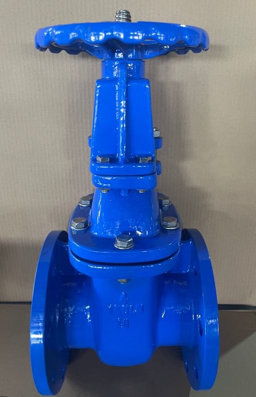 ANSI Flanged Metal Seat Gate Valve DN50-DN300 Cast Iron